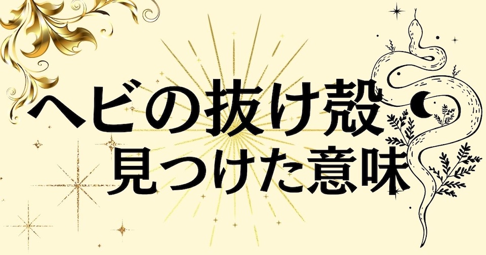 蛇の抜け殻を見つけたら超ラッキー！人生が変わるスピリチュアルサインの見出し画像